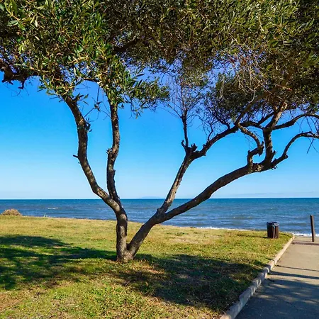 3 Bedroom Stunning In * Prunete